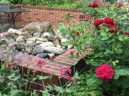 Stauden und Gehölze