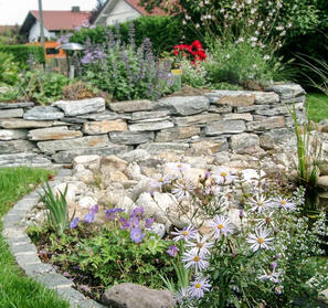 Mit Leidenschaft und Erfahrung